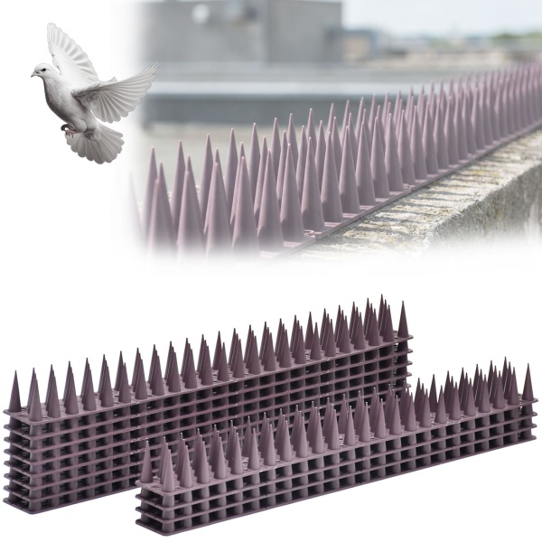 Taubenspikes – USP – Before